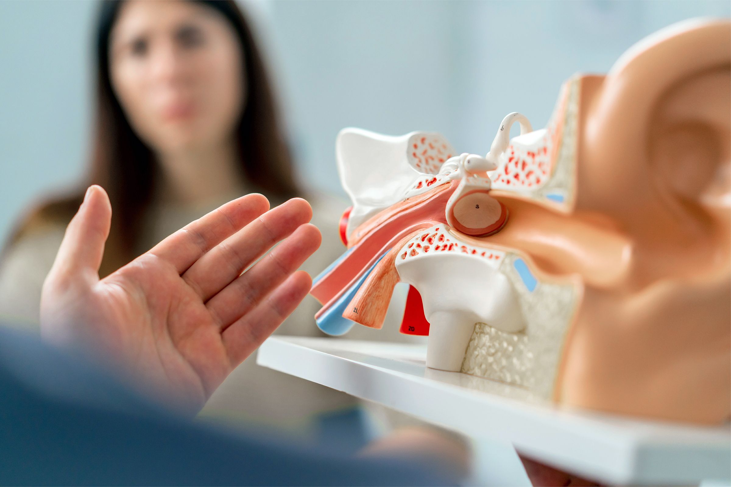 Clinic Expert