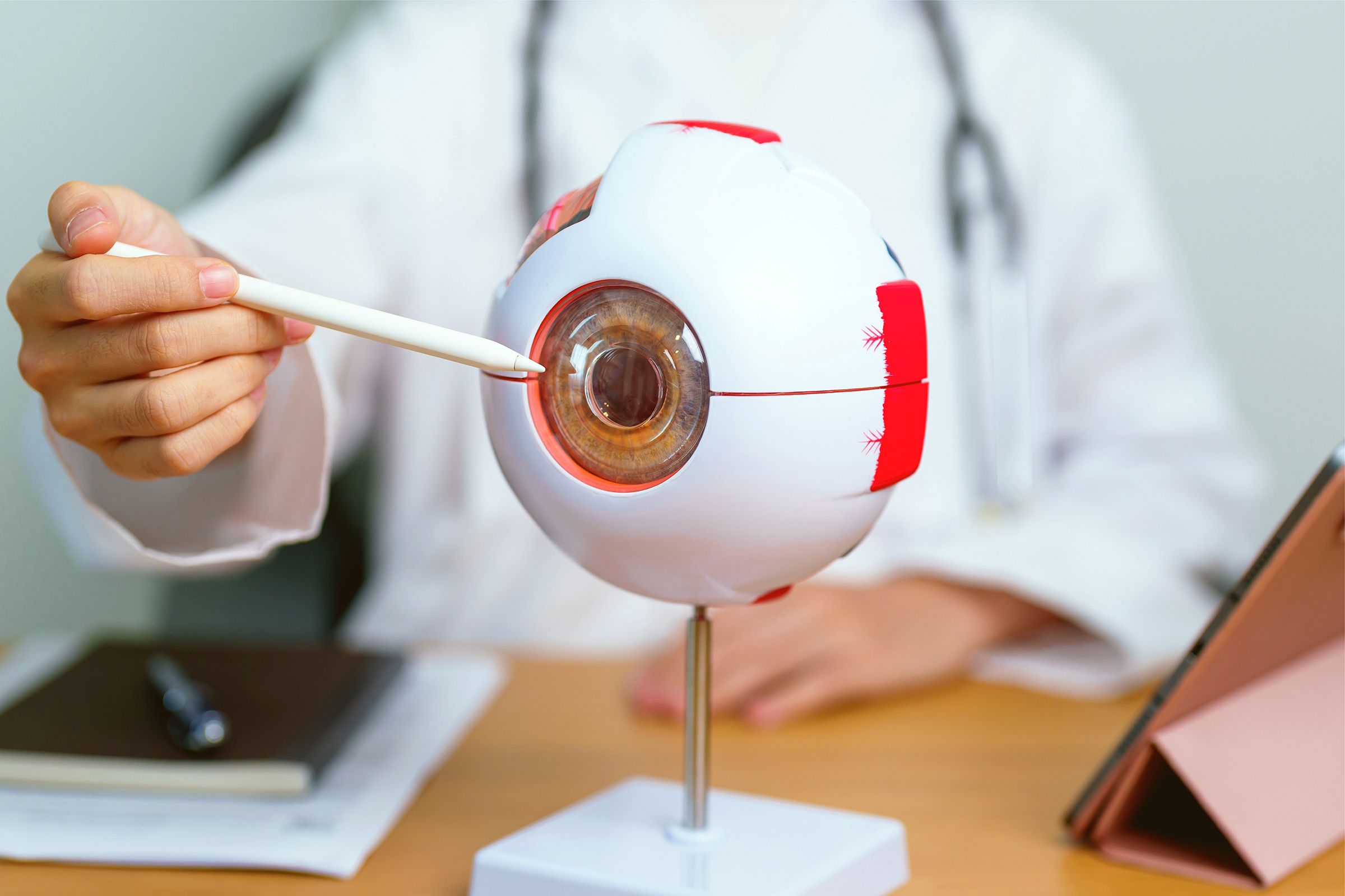 Clinic Expert