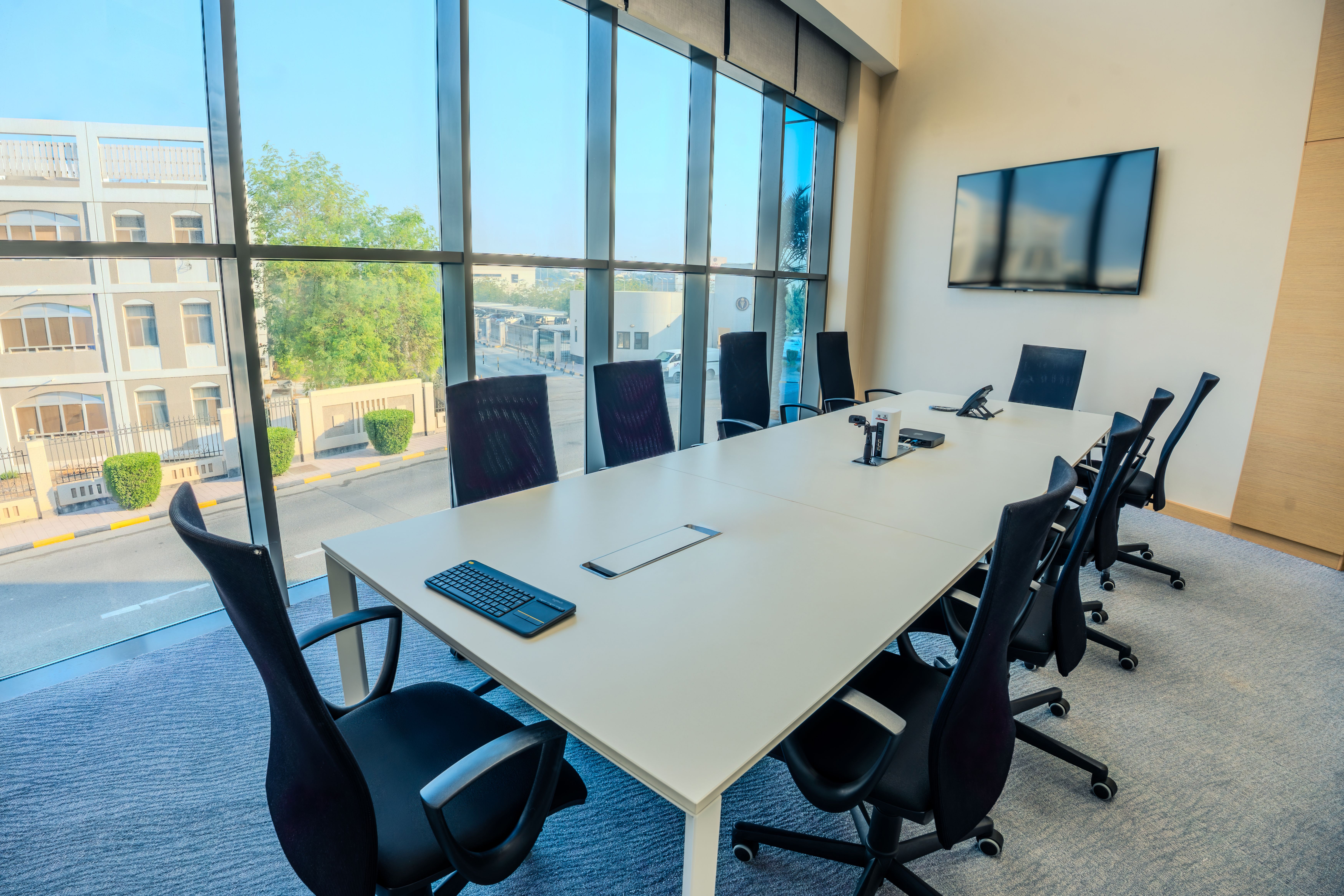 Cpctmr_Meeting Room.jpg
