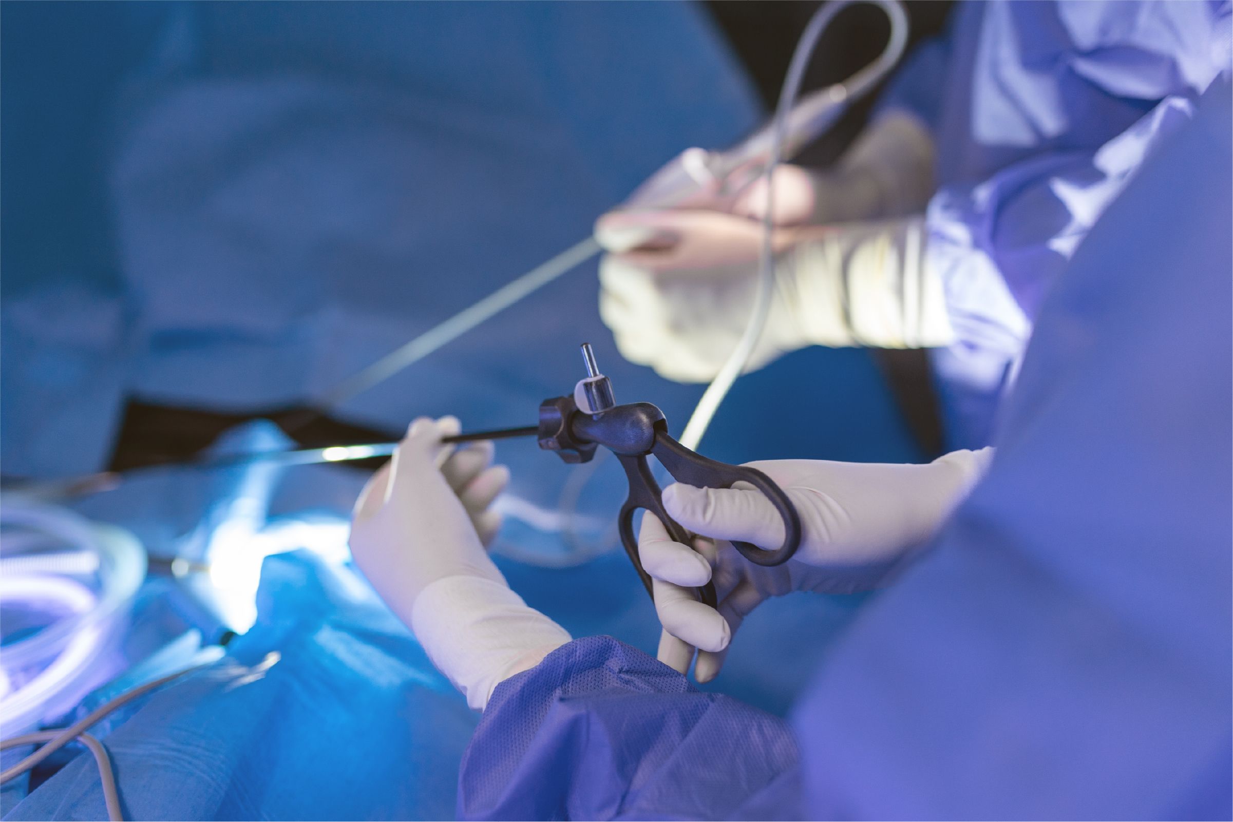 Clinic Expert
